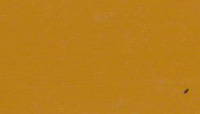 BLVC15, Bronze Yellow