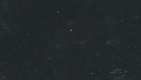 BLVC254