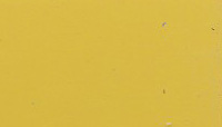 BLVC266, Yellow