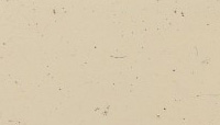BLVC516