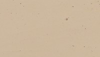 BLVC636